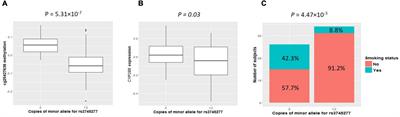 Investigation of the genetic effect of 56 tobacco-smoking susceptibility genes on DNA methylation and RNA expression in human brain